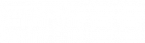 Logo Total Definer Blanco