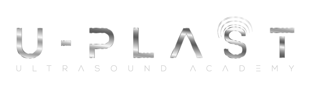 LOGO_PLATEADO