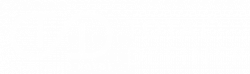 Logo Total Definer Blanco
